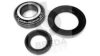 BREDA  LORETT KRT7579 Wheel Bearing Kit